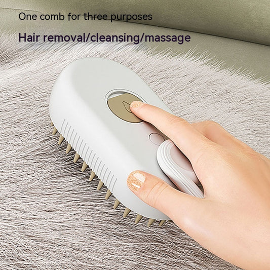 3 In 1 Electric Steam/Spray Massage Brush