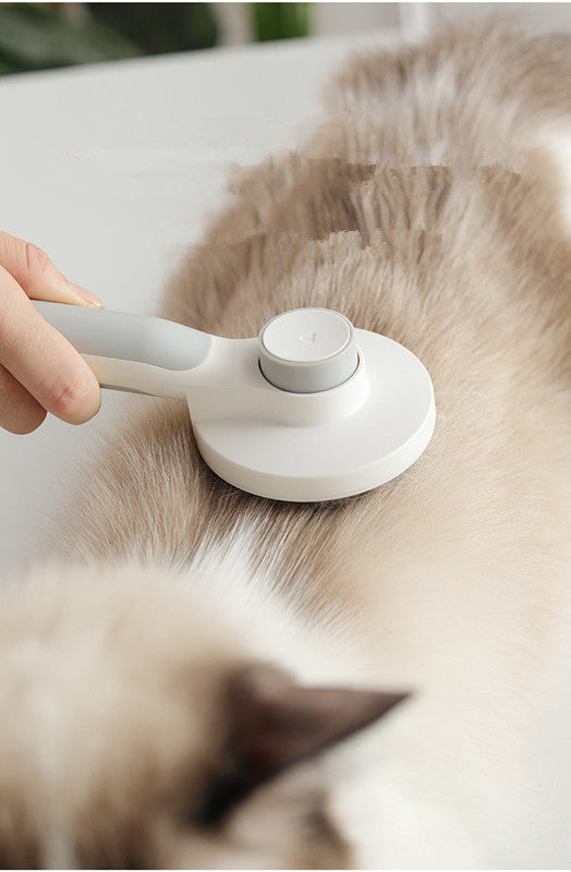 The Ultimate Guide to Removing Pet Hair From Your Home (Without Stress)